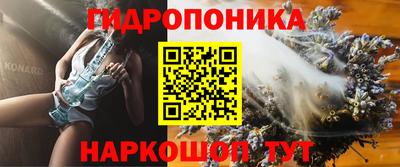 стафф Донецк