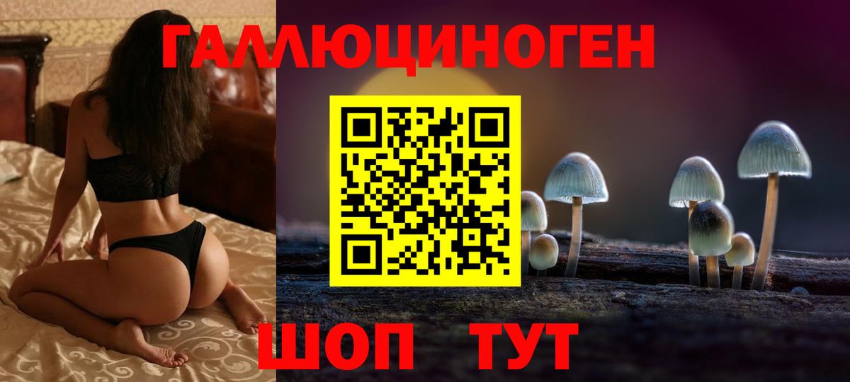 Лосино-Петровский  Галлюциногенные грибы Cubensis  Псилоцибиновые грибы прущие грибы  Вход с VPN 
